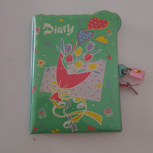 Vintage diary new with lock