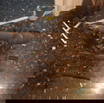  Όργανο γυμναστικής