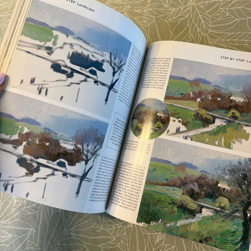 Oil Painting for Beginners book like new