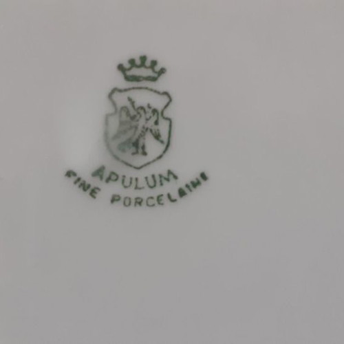 Apulum fine porcelaine tea cup set with saucers and 6 cake plates used