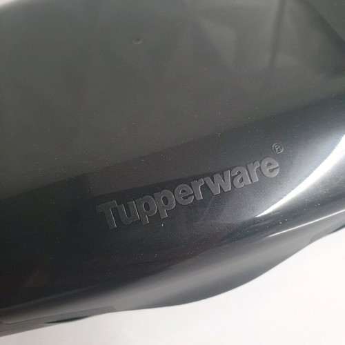 Tupperware Delis new, ideal for bag
