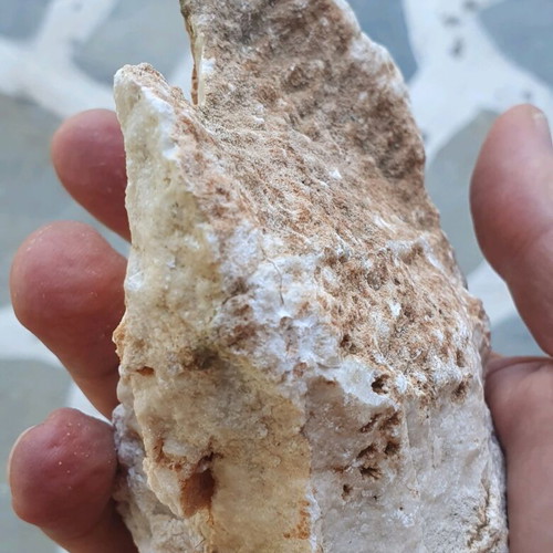 Fossilized coral like new, Greek collectible