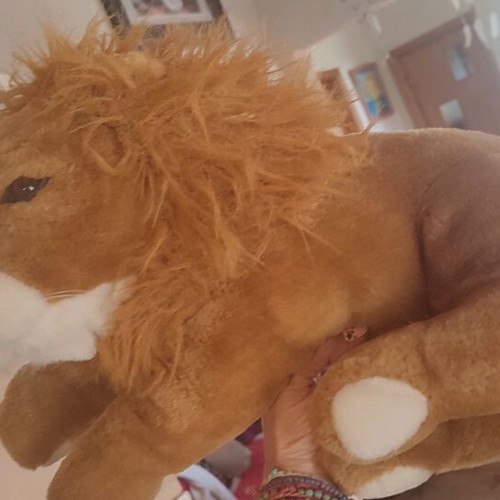 Stuffed animal lion medium sized like new