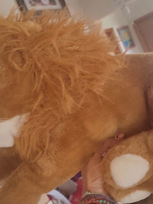 Stuffed animal lion medium sized like new
