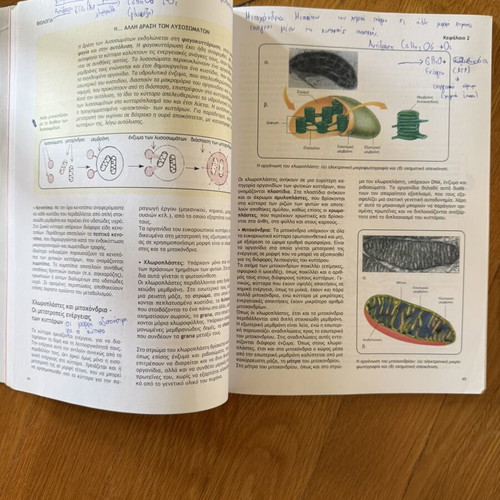 Biology Volume A, Grade 12