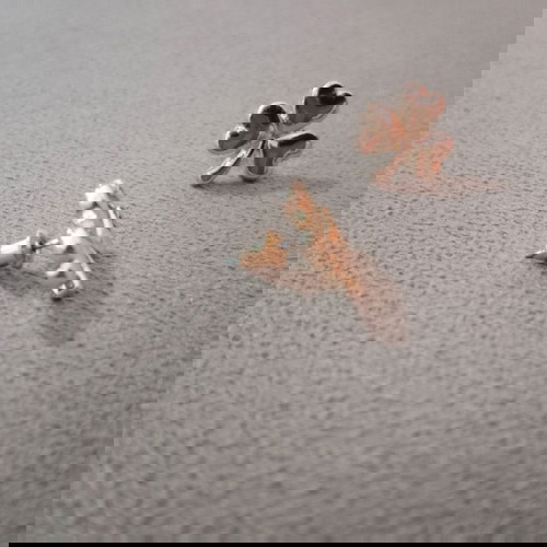 Clover earrings new, gold color