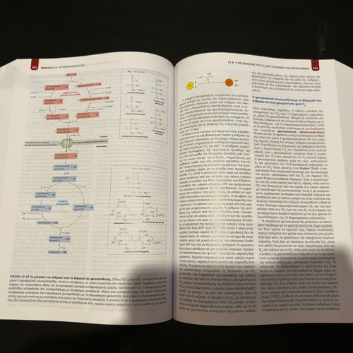 Molecular Cell Biology new edition 2019 by Utopia