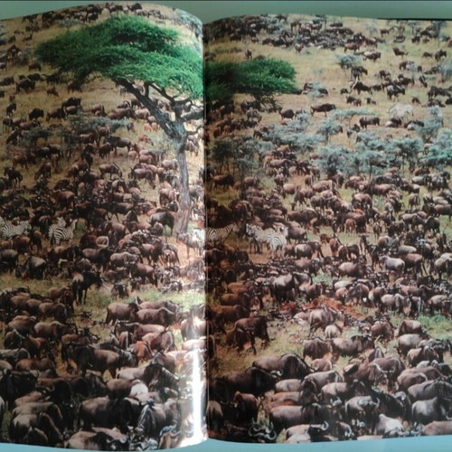 Planet Earth book new by Alastair Fothergill BBC