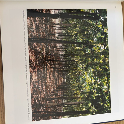 Crete Proud Beauty album like new, Greek language