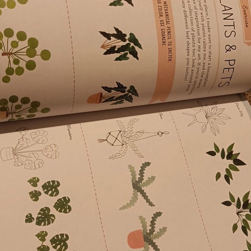 Draw Every Little Thing book like new, hobby