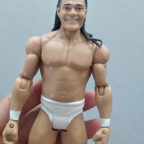 Bo Dallas WWE Pro-Wrestling Action Figure toy like new