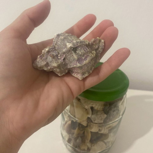 Jar with shells like new from Gibraltar and Greece for decoration