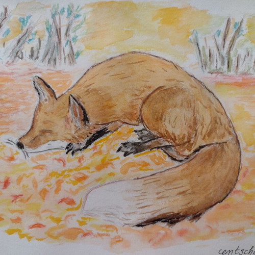 Watercolor painting Sleeping Fox new, unframed