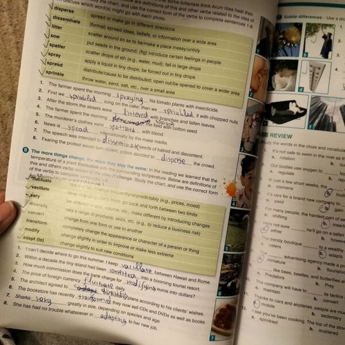 Michigan Proficiency First Steps book used with notes and answers