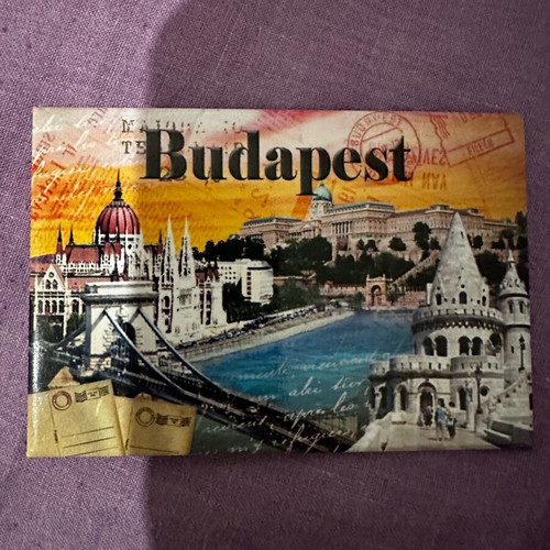 Budapest magnet like new