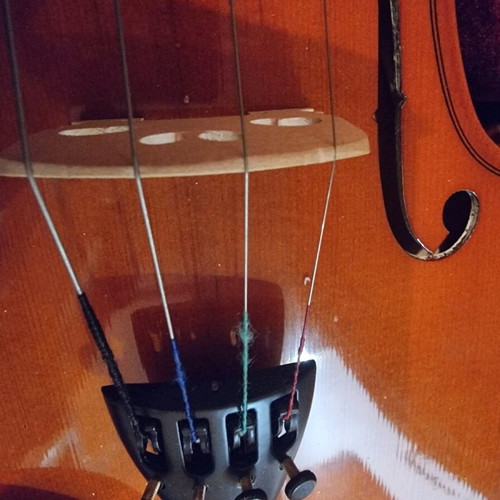 Student violin new