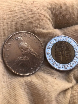 Coins Egypt 2007 1 Pound and Hungary 1995 50 Forint used set