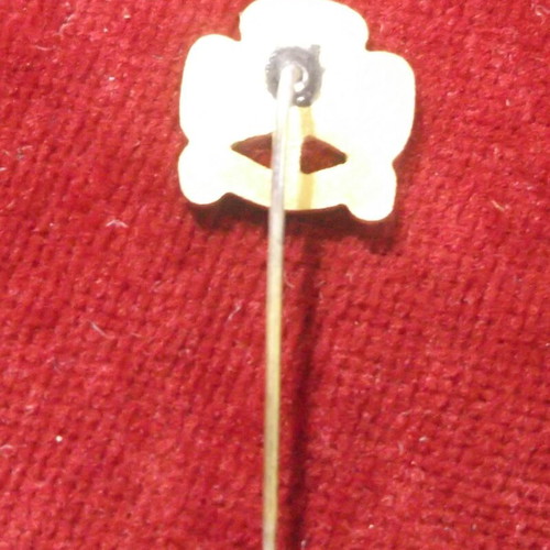 Scouting Pin like new, gold color, rising phoenix, "ΑΙΕΝ ΑΡΙΣΤΕΥΕΙΝ"