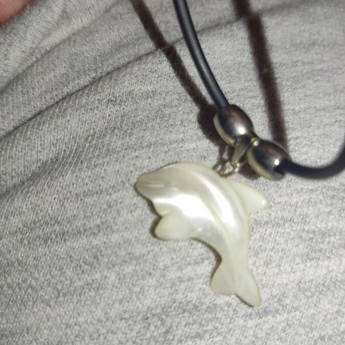 Dolphin necklace new