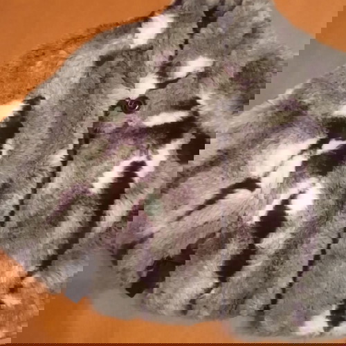 Φόρεμα για κορίτσι 8 ετών σαν καινούργιο, φουξια με γούνινο πανωφόρι