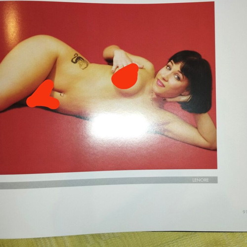 SuicideGirls book like new, English, photography and art