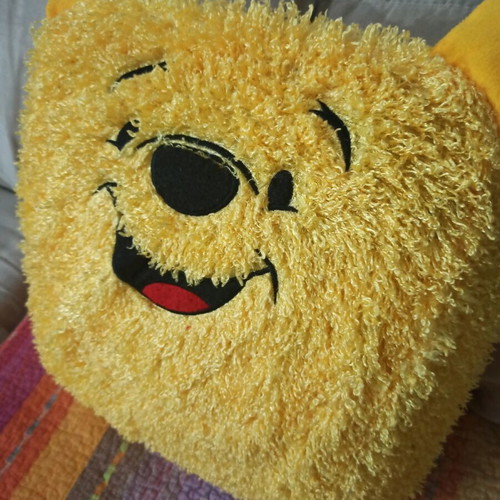 Children's decorative pillow covers used, set of 6 with Elmo and Winnie the Pooh