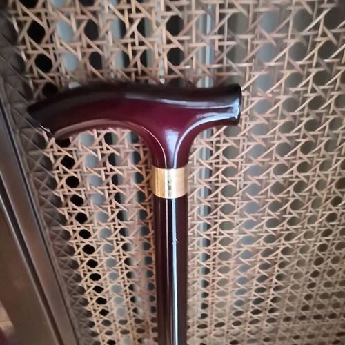 Triantafyllia Walking Cane with T Handle and Metal Decorative Ring, New