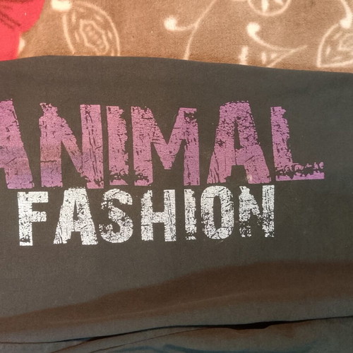 Animal Fashion dark grey joggers with AF logo and motivational print