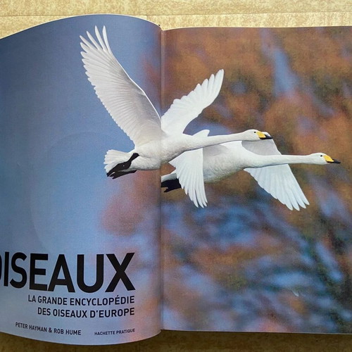 The Great Encyclopedia of European Birds Oiseaux like new, French