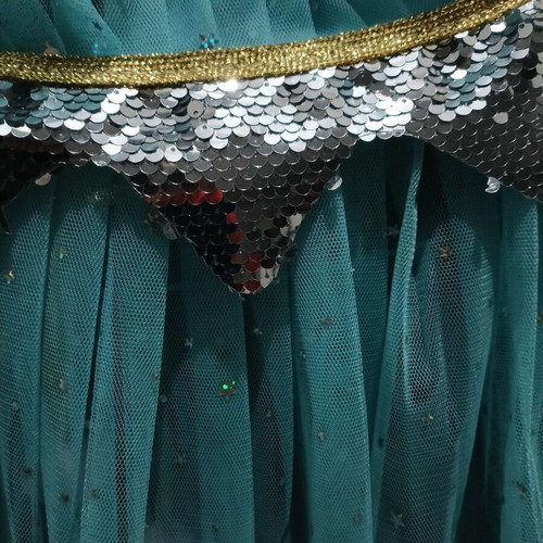 Princess Elsa costume set new, cape with tulle and star accessories