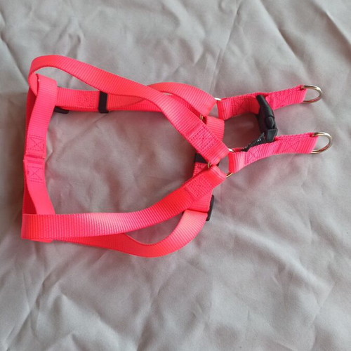 Dog leash and harness set GLEE like new, adjustable, reflective