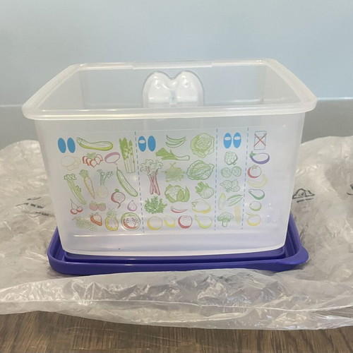 Tupperware Smart Cooling Container 1lt new