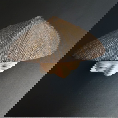 Декоративна бюстова статуя на мъж от Виетнам употребявана