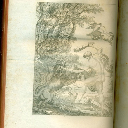Idyllia tou Theokritou leather-bound book used, Paris 1795, 2 volumes in 1