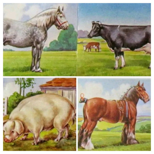 Vintage paper scraps with farm animals used, set of 6 pieces