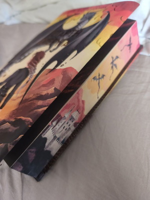 The Fourth Wing book