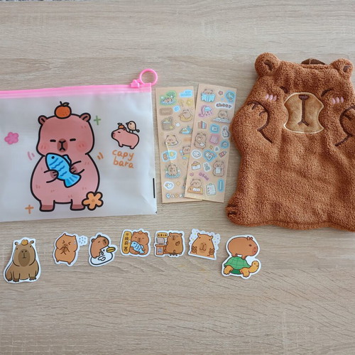 Capybara gift set new with pouch, hand towel and stickers