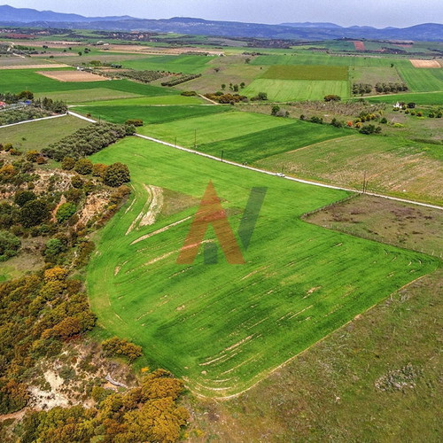 Buildable agricultural land 15,000 m² in Scholari Thessaloniki
