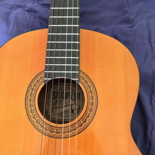 Paco Castillo 201 and Segovia classical guitars used with case and book