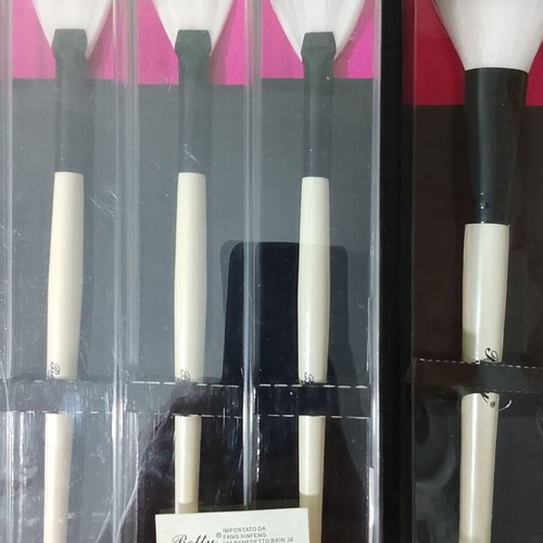 Makeup brushes set 12 + 1 new in box Betty