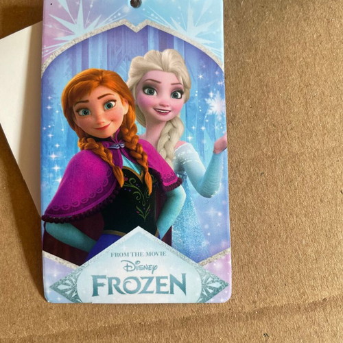 Frozen Disney pencil case for girls