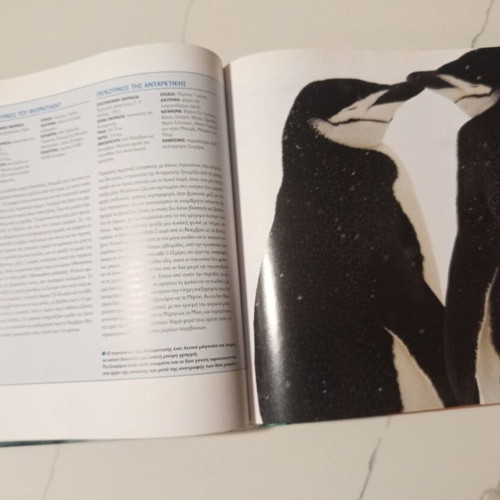 The Encyclopedia of Animals Volume 10 used, Penguins and Southern Pole Animals