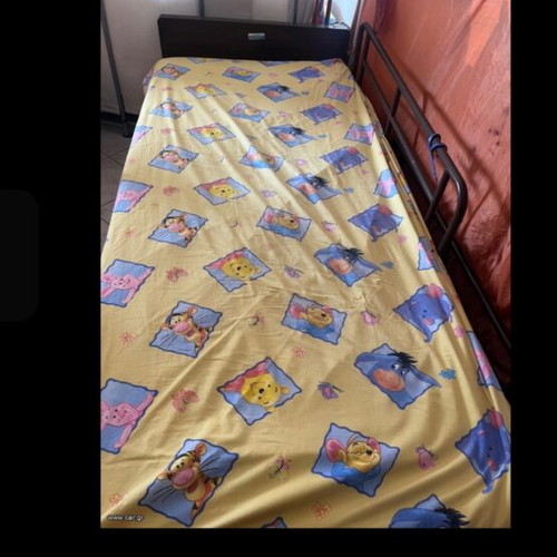 Mobiak hospital bed like new with electric recline and mattress