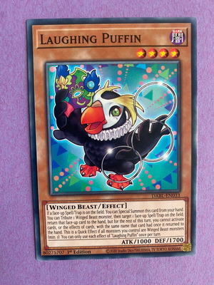 Laughing Puffin Yu-Gi-Oh Card like new