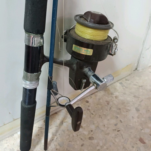 Daiwa fishing rod used with 7600A reel