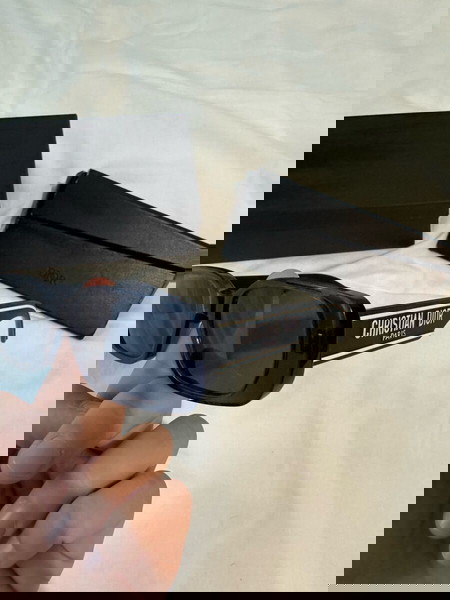 Christian Dior Wildior sunglasses