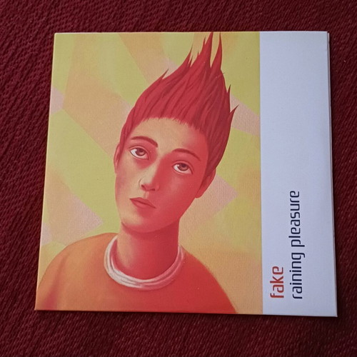 Raining Pleasure Fake CD single promo used, indie pop
