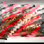  Ισπανια επίσημο Σακουλακι 5 Cent 2003 με 100 νομίσματα Ακυκλοφορητα