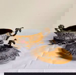  Κεραμικό σετ φοντανιέρα - τασάκι