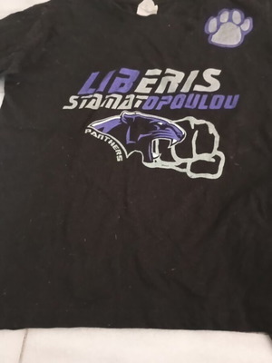 Kick boxing, boxing and martial arts shirt like new